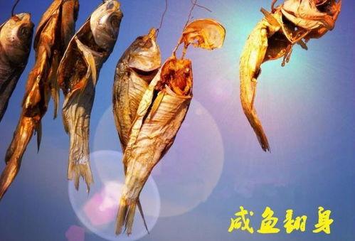 咸鱼最新金鱼爆料,揭秘金鱼界的神秘力量 第2张 咸鱼最新金鱼爆料,揭秘金鱼界的神秘力量 第2张